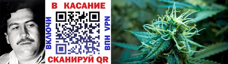 Галлюциногенные грибы Красноармейск
