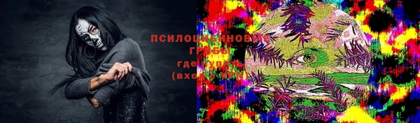 стафф Иннополис