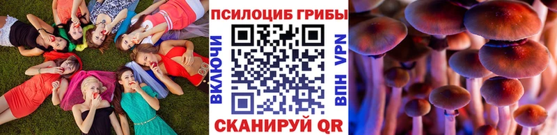 Купить где  Красноармейск  Галлюциногенные грибы ЛСД 